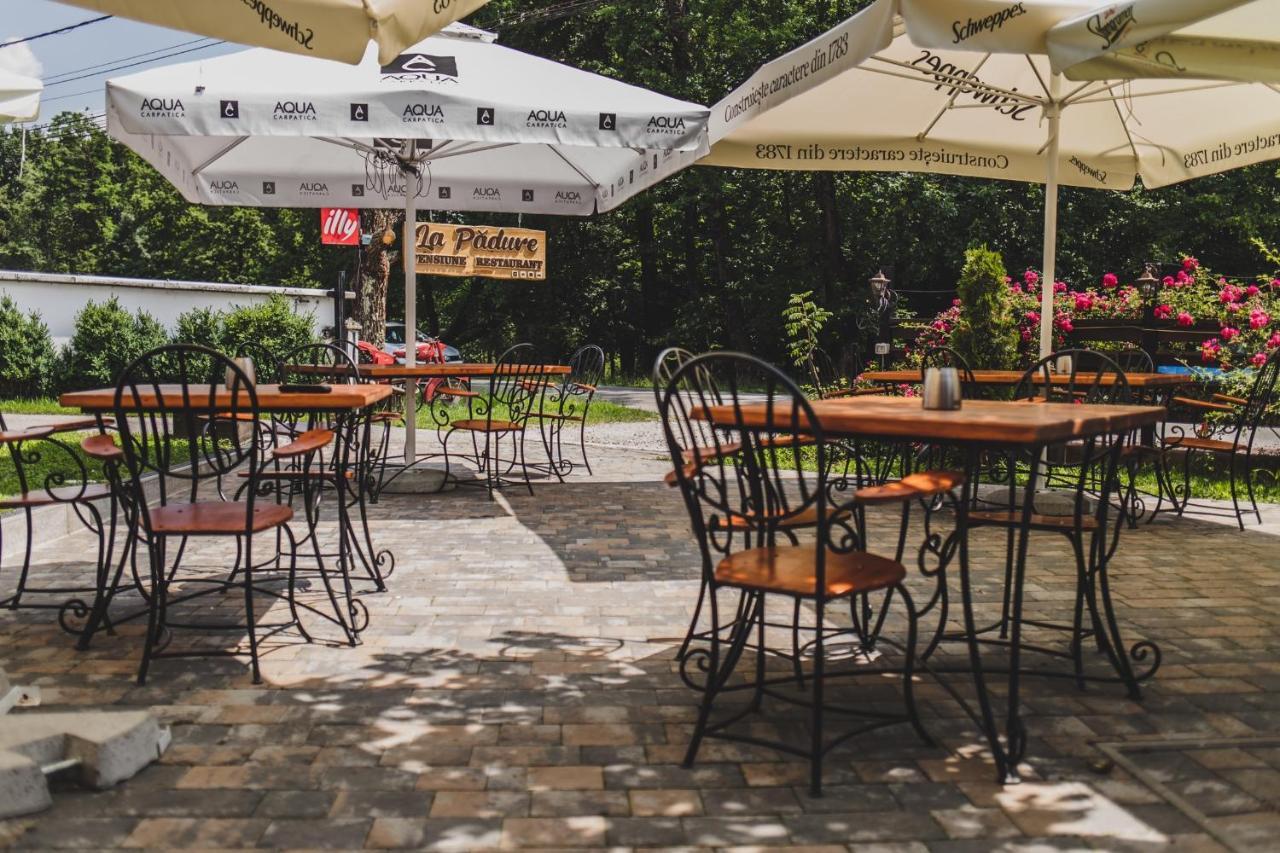La Padure Pensiune-Restaurant Novaci-Straini Exterior photo