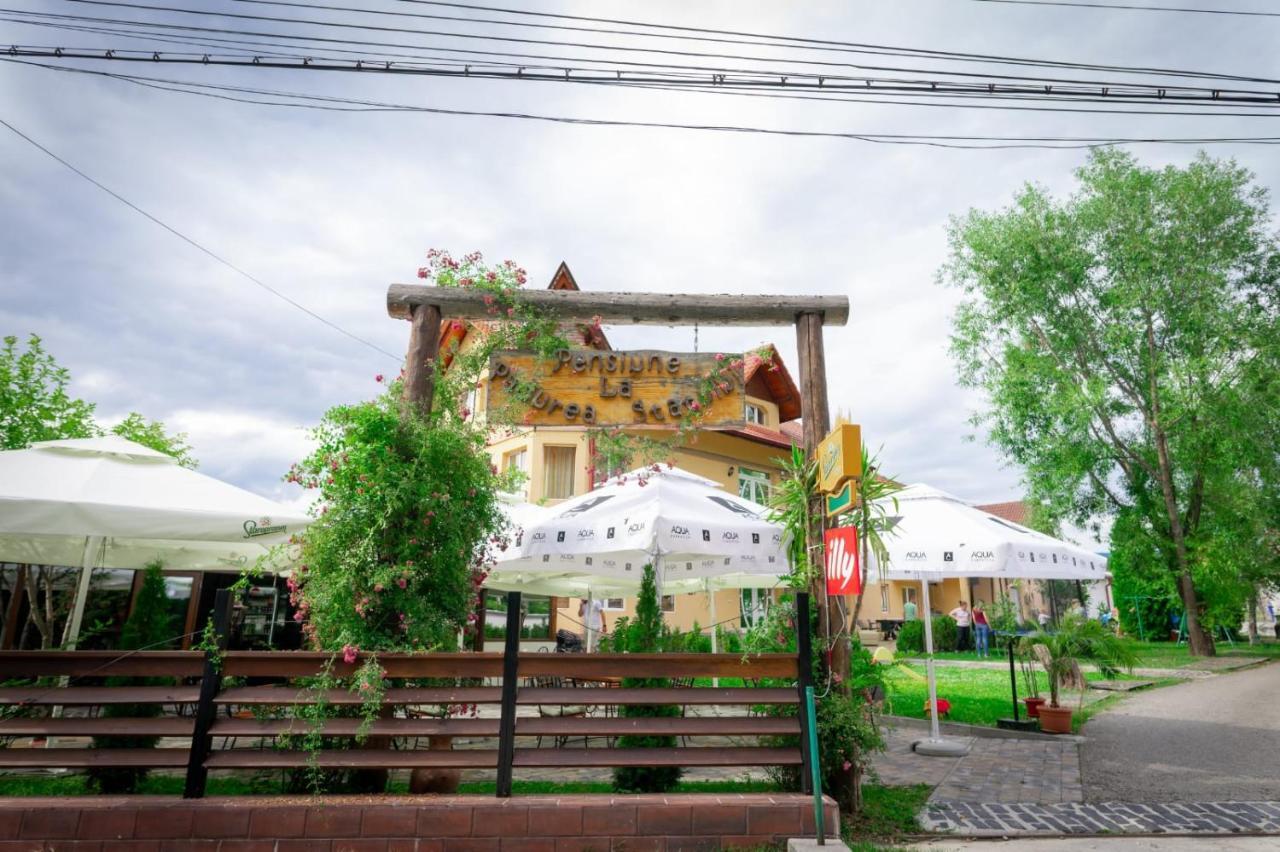 La Padure Pensiune-Restaurant Novaci-Straini Exterior photo